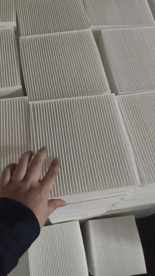 Qlent Produttore ricambi auto filtro al carbone attivo 2048300518 Filtro abitacolo